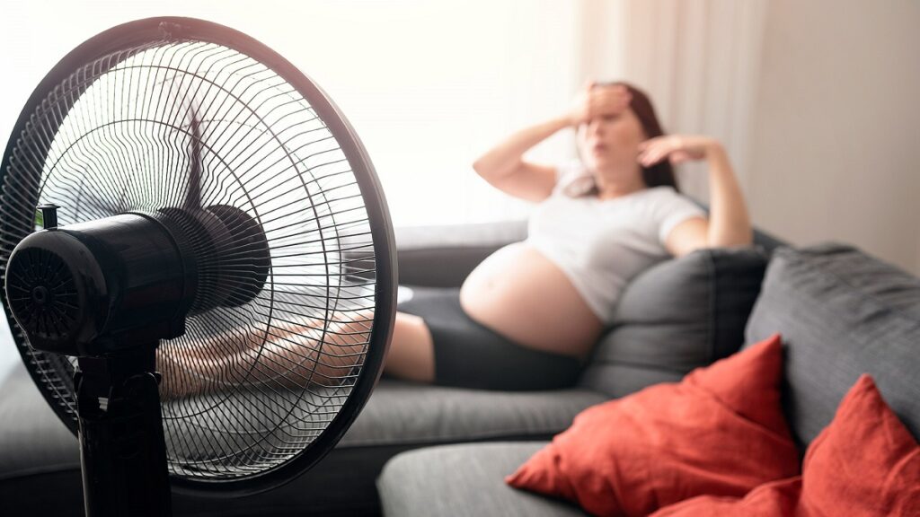 calor y embarazo 2