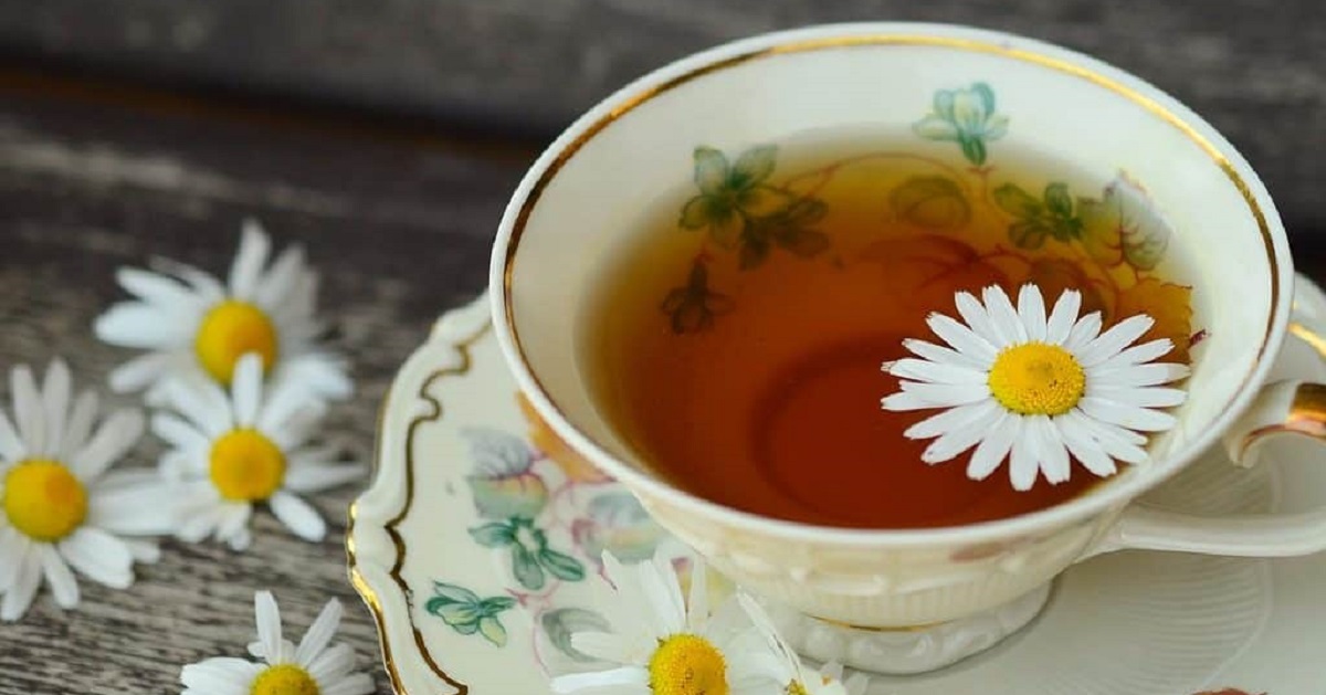 Té de Manzanilla en el Embarazo Beneficios y Precauciones 2024 · e