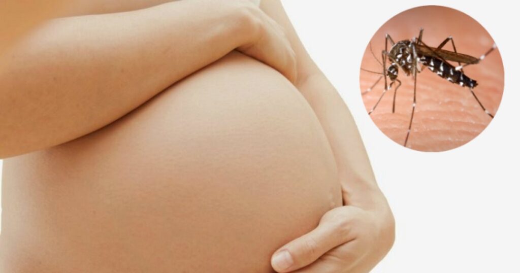 zika virus embarazo